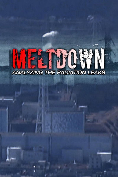 Póster de Meltdown: Analyzing the Radiation Leaks