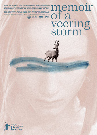 Póster de Memoir of a Veering Storm