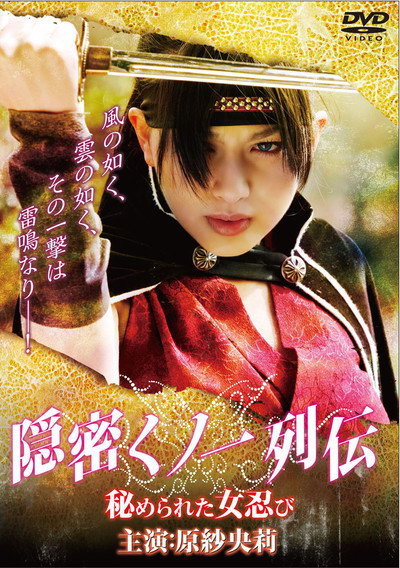 Póster de Memoirs of a Lady Ninja