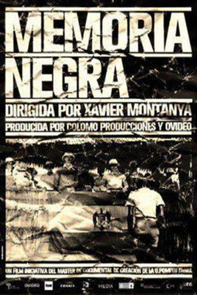 Póster de Memoria negra