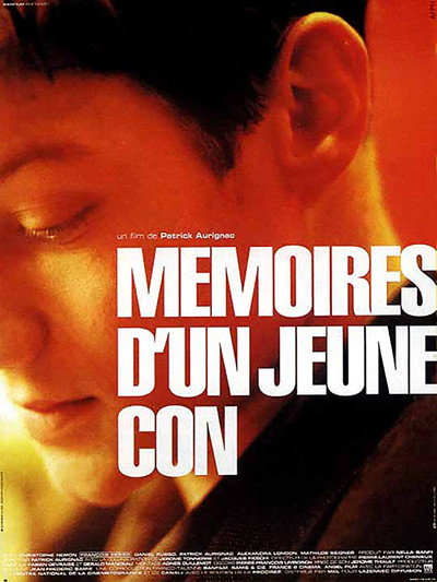 Póster de Memories of a Young Fool