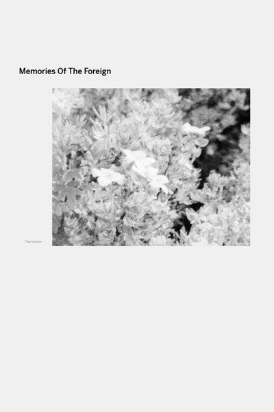 Póster de Memories of the Foreign