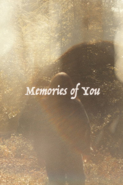Póster de Memories of You