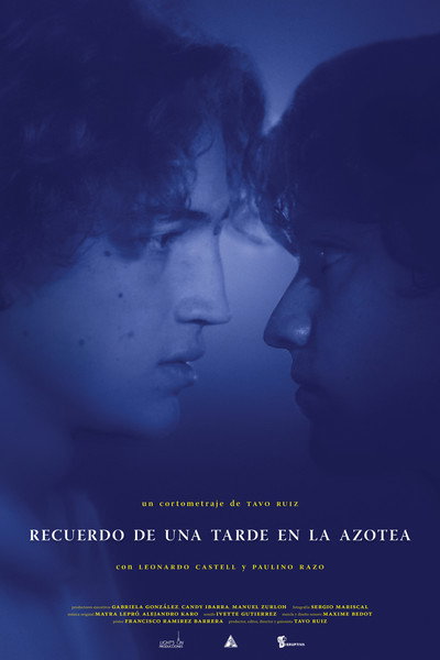 Póster de Memory of an Afternoon on the Roof