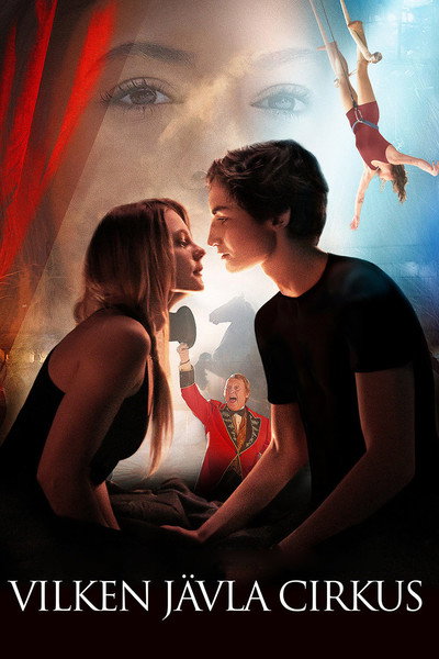 Póster de Mending Hugo's Heart