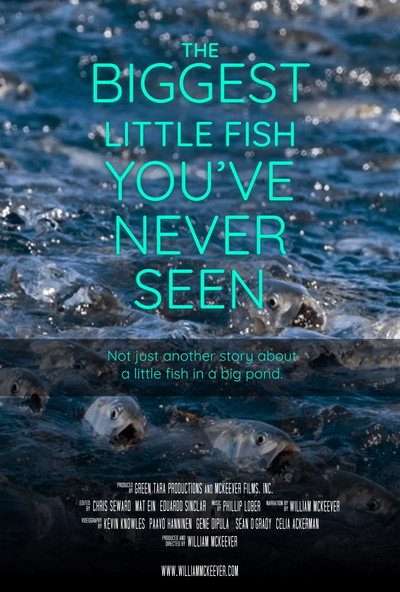 Póster de Menhaden: The Biggest Little Fish You've Never Seen