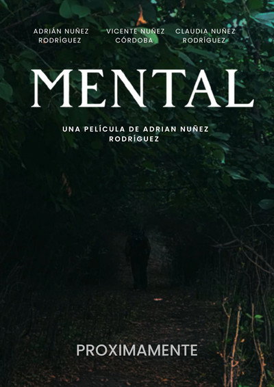 Póster de Mental