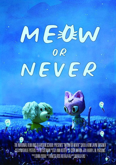 Póster de Meow or Never