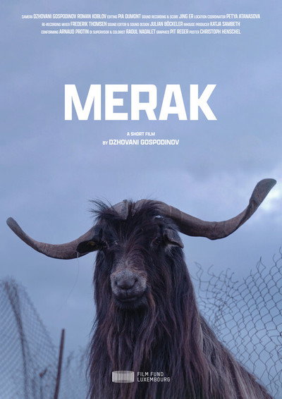 Póster de Merak