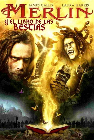 Póster de Merlín y el Libro de las Bestias