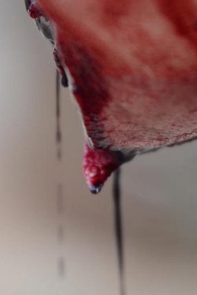 Póster de Meso