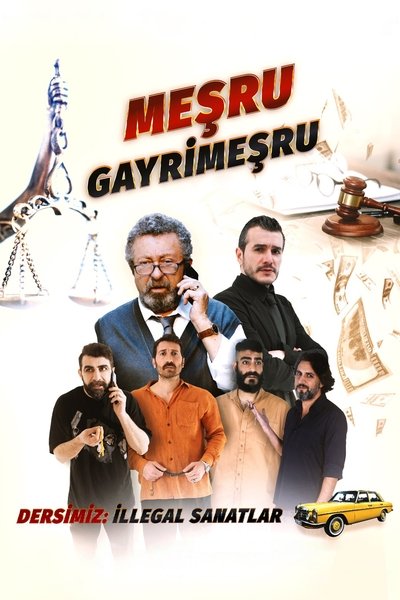 Póster de Mesru Gayrimesru