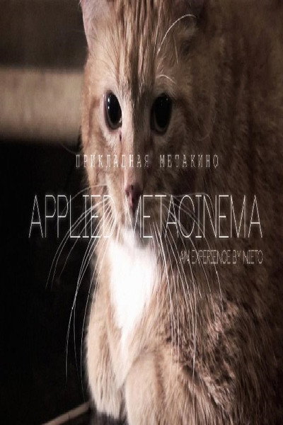 Póster de Metacinema appliqué