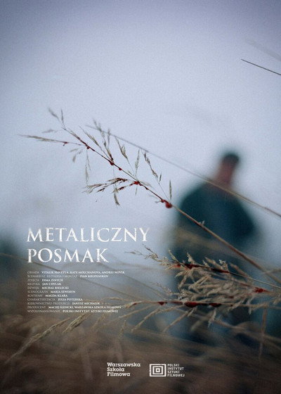 Póster de Metallic Taste