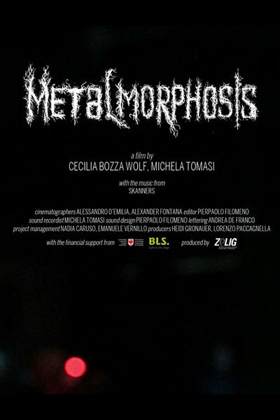 Póster de Metalmorphosis