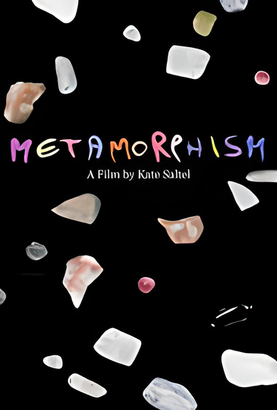 Póster de Metamorphism