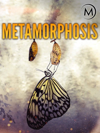 Póster de Metamorphosis
