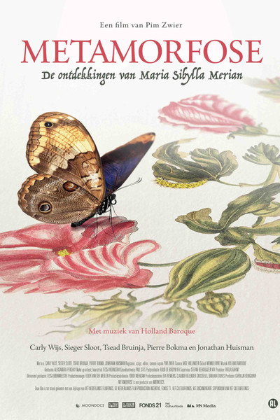 Póster de Metamorphosis