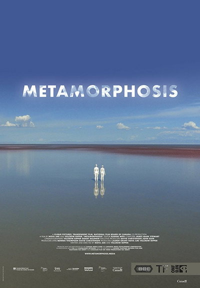Póster de Metamorphosis