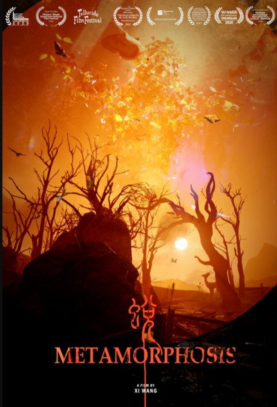 Póster de Metamorphosis