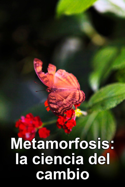 Póster de Metamorphosis: The Science of Change