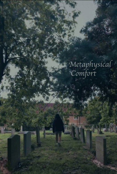 Póster de Metaphysical Comfort