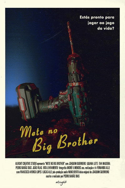 Póster de Mete no Big Brother