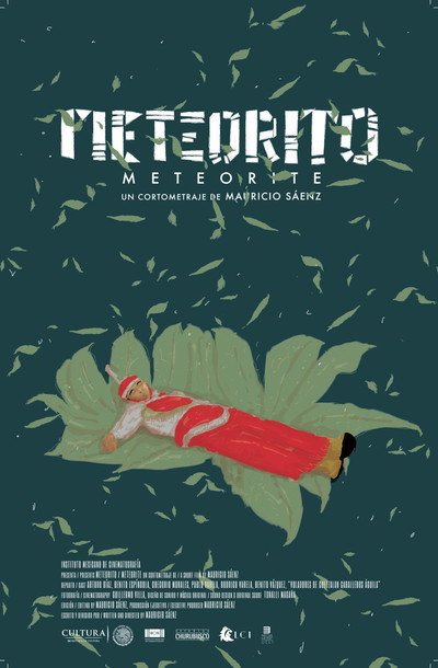 Póster de Meteorite