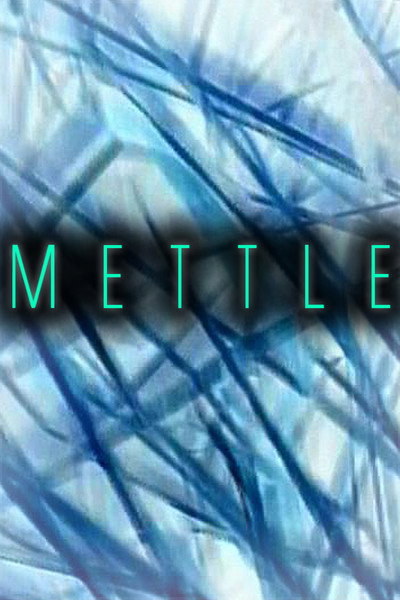 Póster de Mettle