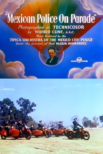 Póster de Mexican Police on Parade