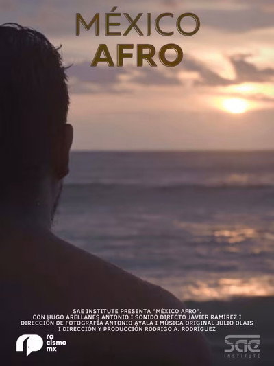 Póster de México Afro