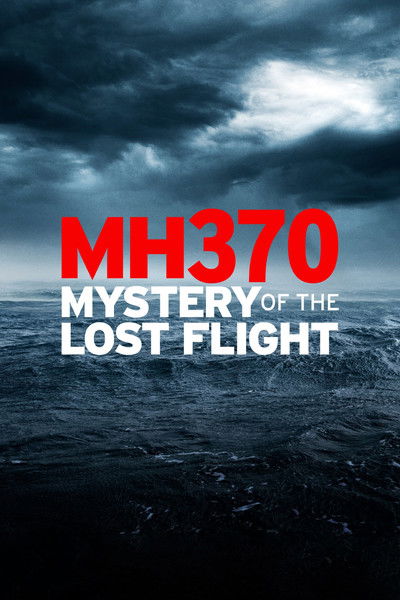 Póster de MH370 Mystery of the Lost Flight