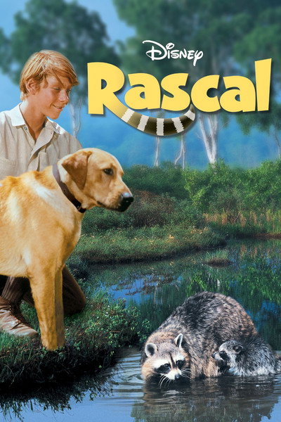 Póster de Mi amigo Rascal