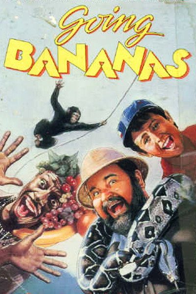 Póster de Mi aventura africana