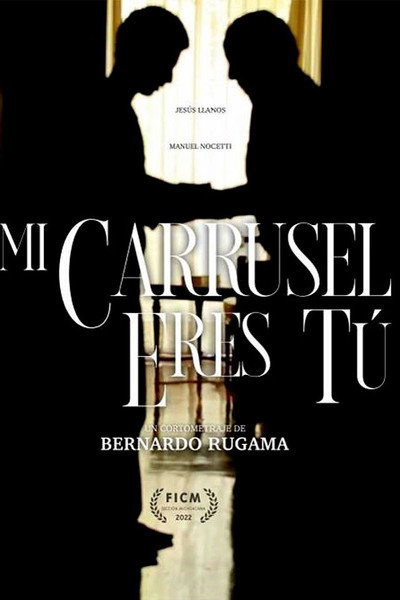 Póster de Mi carrusel eres Tú