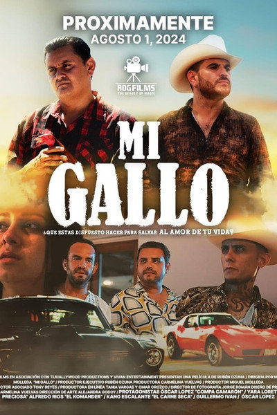 Póster de Mi Gallo
