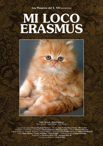 Póster de Mi loco Erasmus