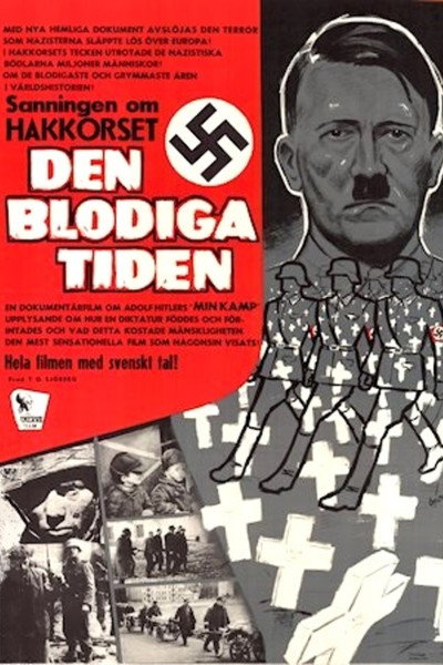 Póster de Mi lucha