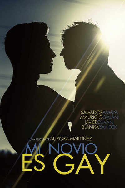 Póster de Mi novio es gay
