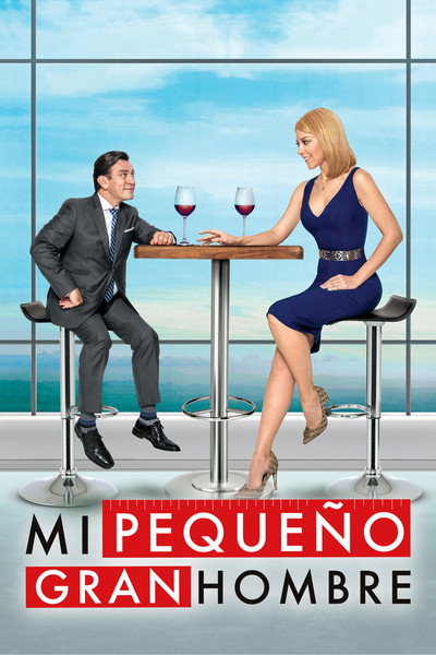 Póster de Mi pequeño gran hombre
