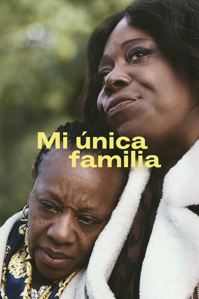 Póster de Mi única familia