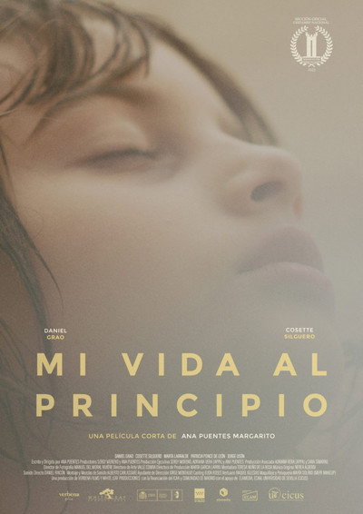 Póster de Mi vida al principio