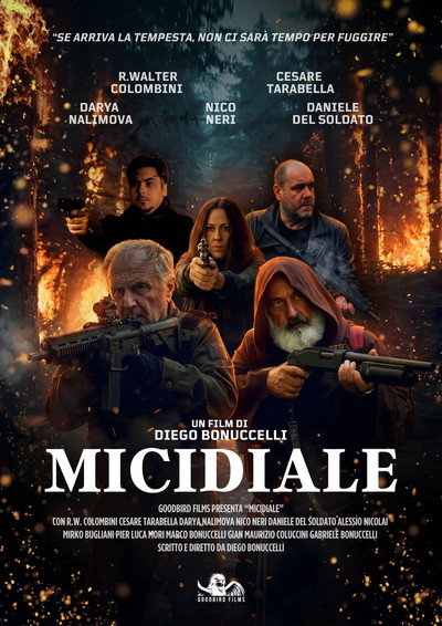 Póster de Micidiale