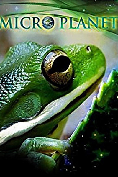 Póster de MicroPlanet 3D