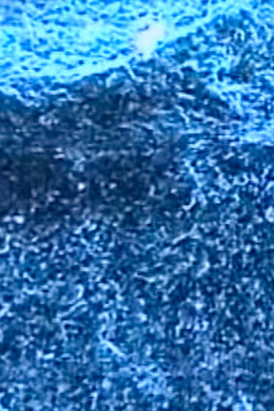 Póster de Microscopias