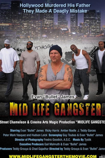 Póster de Mid Life Gangster