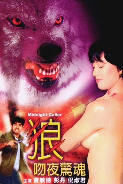 Póster de Midnight Caller