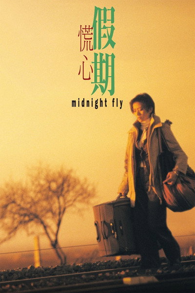 Póster de Midnight Fly