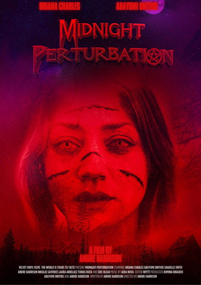 Póster de Midnight Perturbation