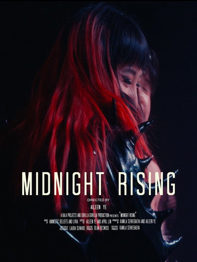 Póster de Midnight Rising